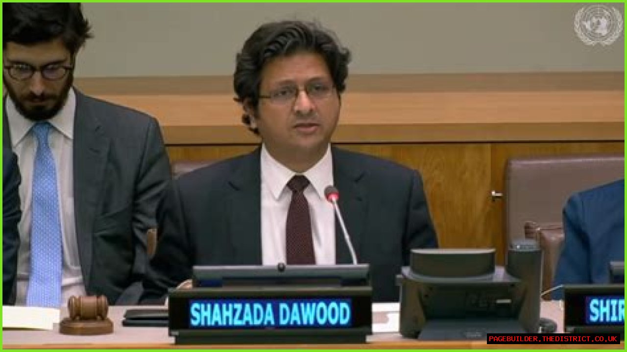 Meet Alina, The Daughter Of Prominent Business Tycoon Shahzada Dawood